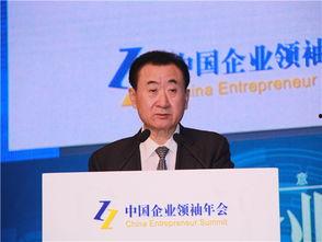 吃瓜群众王健林,吃瓜群众的财富传奇