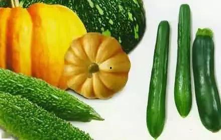 上学的时候吃瓜,那些年我们一起吃过的“瓜”