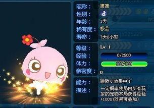 炫舞拾忆吃瓜,揭秘吃瓜背后的娱乐真相