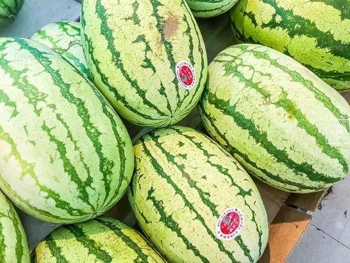 mk瓜瓜吃瓜,揭秘娱乐圈的甜蜜瓜果