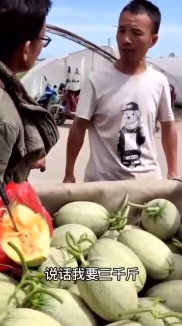 假装吃瓜,那些年我们假装吃瓜的幕后故事