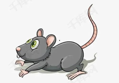 老鼠偷瓜吃称寡人,寡人生计成难题