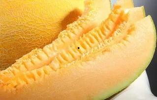 南昌吃瓜,一网打尽本地美食风情