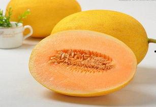 寒气重吃哈密瓜,哈密瓜如何成为暖胃佳品