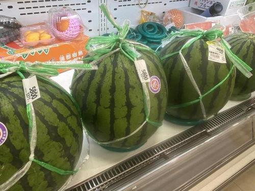 班级吃瓜照片,吃瓜照片里的青春记忆