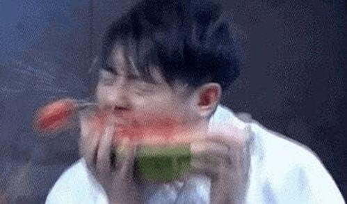 少尘吃瓜zoo,揭秘网络红人的趣味生活