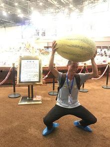 奔跑的吃瓜观众,吃瓜观众的热闹围观