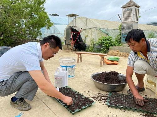上海金山砍人吃瓜,砍人吃瓜事件背后的真相与反思