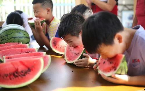 小孩当吃瓜群众,小瓜群众眼中的世界百态