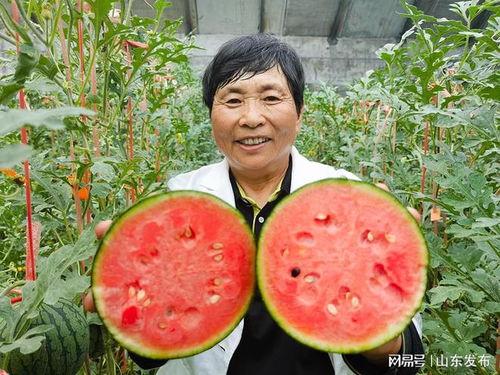 wuyi吃瓜,网络红人的瓜田奇遇记