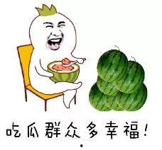 野生雨带你吃瓜,跟随野生雨带探寻神秘瓜果之旅