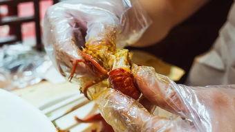 虾吃小瓜虫,共生共荣的生态奇观