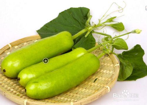 腹泻可以吃瓠子瓜吗,腹泻期间适宜食用瓠子瓜的饮食建议