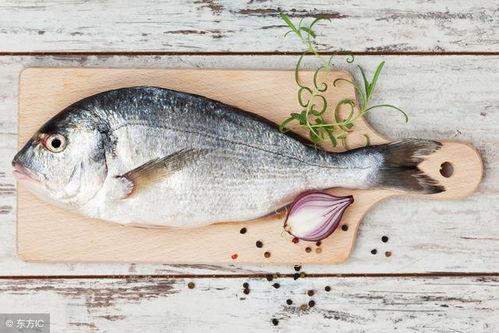 军人吃八瓜鱼好吗,军人的美味佳肴，营养与口感的完美结合